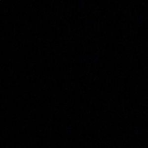 Meet your Posher, Gianna